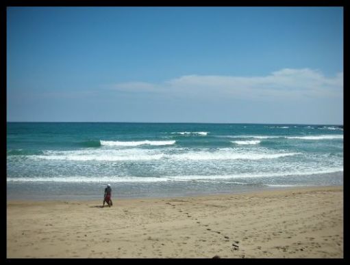 画像: 2025 surf camp in 高知