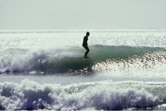 画像1: 2025 surf camp in 高知